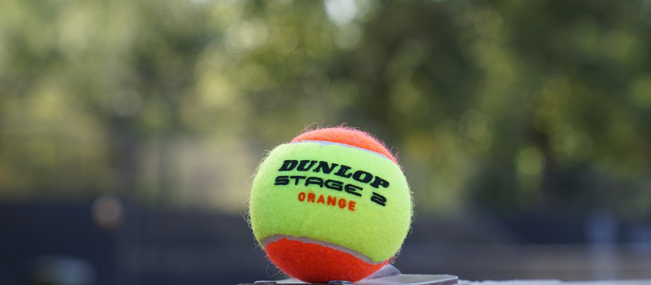Oranje Dunlop tennisbal (2)