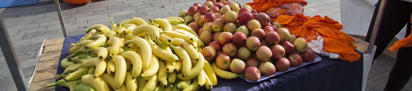 Fruit