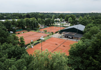 Vereniging bomen overizicht